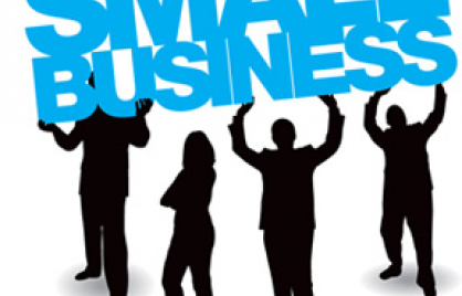 DGS - Small Business Initiative DGS - Small Business Initiative