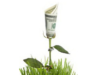 Money growing from a plant Alternative Financing