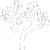 tree-leaf-service.png